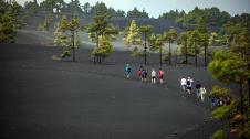 Fotos del volcán Tajogaite de La Palma y sus visitas turísticas.