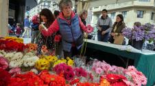 Fotos del Día del Libro en Pamplona.