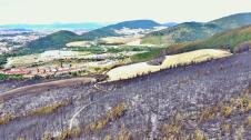 Foto aérea de la zona del incendio de Olloki./