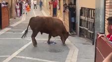 Un toro se escapa en fiestas de Ablitas
