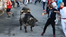 Quinto encierro de las fiestas 2023 de Sangüesa
