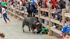 Imagen de uno de los momentos en el que la res la un susto a un mozo