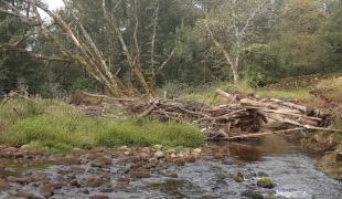 Estado en el que se encontraba uno de los afluentes del río Baztan antes de las labores impulsadas por la Confederación Hidrográfica del Cantábrico Estado en el que se encontraba uno de los afluentes del río Baztan antes de las labores impulsadas por la Confederación Hidrográfica del Cantábrico