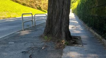 Acera de la calle Vergel entre el Colegio El Molino y la Residencia El Vergel. No se puede pasar con una silla de ruedas