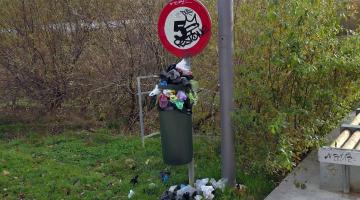 Basura en Rochapea navarra sin photosop Basura en Rochapea navarra sin photosop