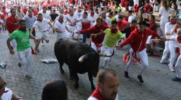 Fotos del segundo encierro de San Fermín 2022.