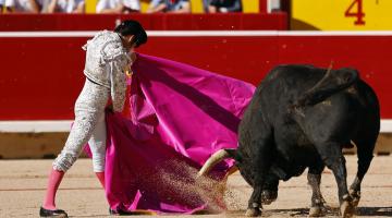 Imágenes de la corrida del día 8 con reses de Fuente Ymbro para los diestros Daniel Luque, José Garrido y Álvaro Lorenzo