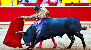 San Fermin - corrida de touros em Pamplona - Tauromania