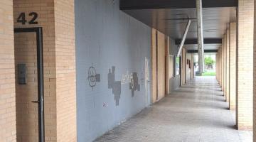 Portal de Reino de Navarra, 42 en Sarriguren. Meses y meses todo el porche y bajera contigua llena de palomas, cagadas y las lámparas se descuelgan... Vecinos hartos y la Policía Municipal avisada