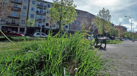 Aspecto de las zonas verdes en la calle Río Arga, en el barrio de la Rochapea. Aspecto de las zonas verdes en la calle Río Arga, en el barrio de la Rochapea.