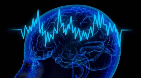 El cerebro distingue la realidad virtual del mundo real El cerebro distingue la realidad virtual del mundo real