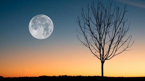 Imagen de la Luna llena de septiembre Imagen de la Luna llena de septiembre