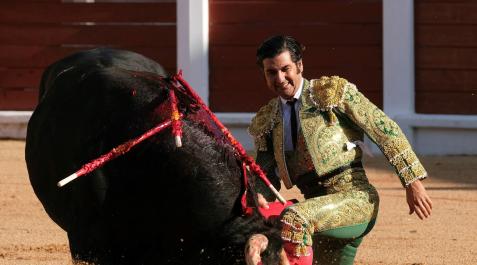 El diestro Morante de la Puebla con su primer toro en Gijón El diestro Morante de la Puebla con su primer toro en Gijón