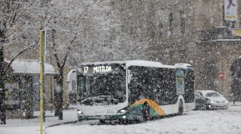 Nieve en Navarra Plaza de Merindades, este domingo