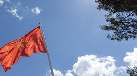 bandera de Navarra bandera de Navarra