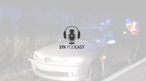 ¿Cómo actuar en caso de accidente con un animal en la carretera? Podcast