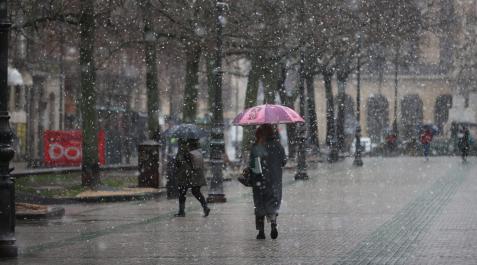 Copos de nieve en el Paseo Sarasate de Pamplona