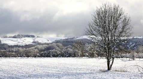 Imágenes de los lectores del temporal de nieve_3 El temporal de nieve llega a Navarra