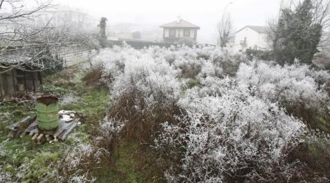 Cencellada en unos arbustos, ayer por la mañana en la localidad de Astráin. 	JESÚS DIGES (EFE)