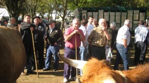 Un estudio genético sitúa en Baztan linajes de 15.000 años de antigüedad Un grupo de vecinos y ganaderos del valle de Baztan contemplan unas reses en una feria. DN