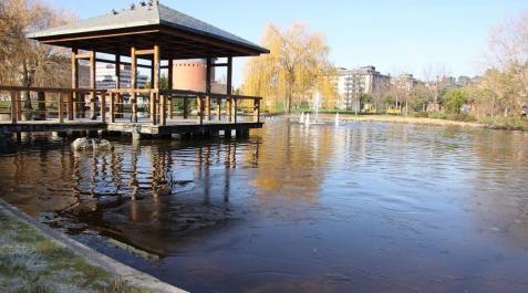 Hielo y temperaturas bajo cero en Pamplona_13 Pamplona ha amanecido este miércoles con temperaturas bajo cero y una fina capa de hielo en distintas zonas de la ciudad. Algunos ciudadanos se han visto obligados a emplear rasquetas para eliminar el hielo de sus vehículos. En algunas zonas, las temperaturas han sido de -3 grados.