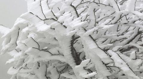 A primera hora de la tarde de este sábado, la nieve cubría la carretera de Burguete, el Alto de Ibañeta o la Higa de Monreal