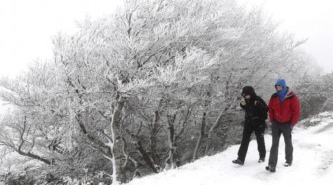 La ola de frío polar puede dejar temperaturas de -12 y -15 grados en Navarra La ola de frío polar puede dejar temperaturas de -12 y -15 grados en Navarra