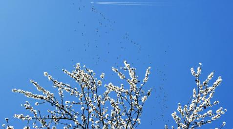 Continúa el buen tiempo en Navarra Continúa el buen tiempo en Navarra