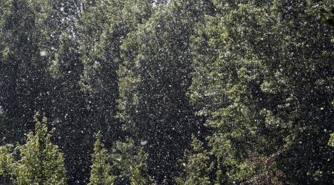 Navarra llega al mediodía de este viernes con más de 30ºC Navarra llega al mediodía de este viernes con más de 30ºC