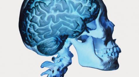 Te amo con todo mi cerebro Te amo con todo mi cerebro