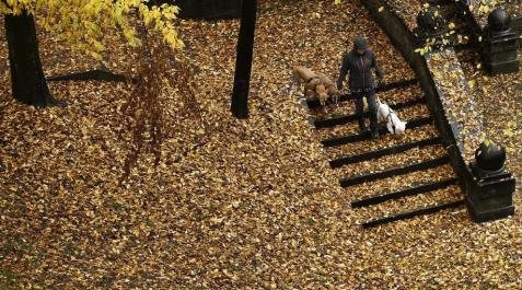 Este fin de semana, en un parque de otoño Este fin de semana, en un parque de otoño