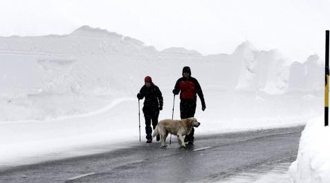 Imágenes de las nevadas de febrero en Navarra.