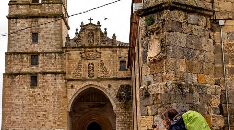 Más de 8.000 peregrinos pernoctan en Estella durante junio y julio Más de 8.000 peregrinos pernoctan en Estella durante junio y julio