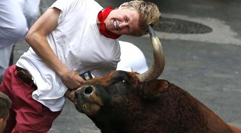 Un toro del Pilar empitona a un joven en Santo Domingo_6 Uno de los toros del Pilar ha empitonado a un joven en el tramo de Santo Domingo en el sexto encierro de los Sanfermines.