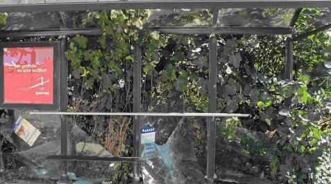 Detenido tras romper los cristales de la marquesina de la parada de Tiebas Detenido tras romper los cristales de la marquesina de la parada de Tiebas
