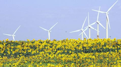 Las renovables ganan peso en el sistema eléctrico Las renovables ganan peso en el sistema eléctrico