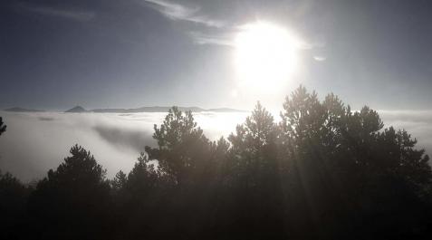 Niebla en Navarra_2 Intensa niebla este jueves, en una jornada en la que, como en días anteriores, las nieblas y brumas han continuado principalmente en el sur y el centro de Navarra.