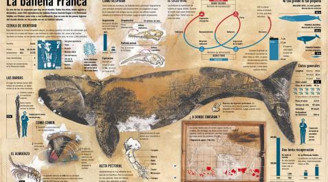 El arte infográfico de Jaime Serra llega al Centro Huarte El arte infográfico de Jaime Serra llega al Centro Huarte