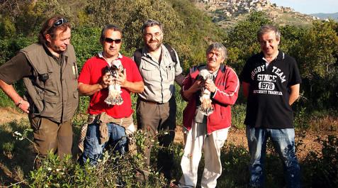 Gallipienzo, lugar elegido para intentar recuperar el águila azor perdicera