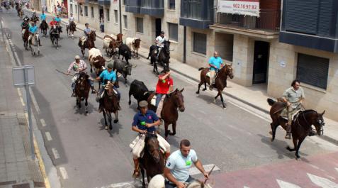 Más de 80 caballistas acuden a la III Ruta de la Trashumancia Más de 80 caballistas acuden a la III Ruta de la Trashumancia