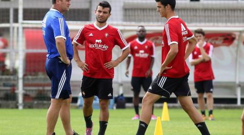 Merino: Merino: