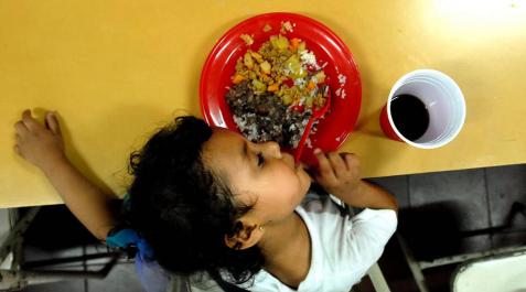 Comer en familia, clave para adquirir hábitos saludables Comer en familia, clave para adquirir hábitos saludables