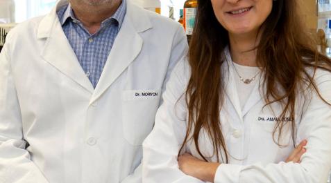 Descubierta una vía para mejorar las vacunas contra la brucelosis Descubierta una vía para mejorar las vacunas contra la brucelosis