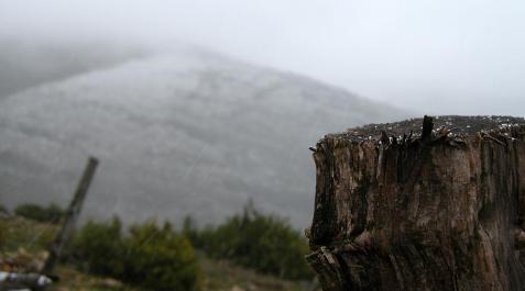 Nieve y frío en Navarra_9 Algunos de los puntos más altos de la Comunidad foral han recibido la presencia de nieve