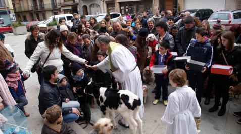 Arguedas, Murchante y Cascante festejan San Antón Arguedas, Murchante y Cascante festejan San Antón