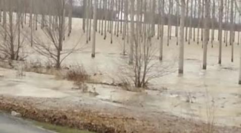 Desbordamiento del Ebro en Castejón Desbordamiento del Ebro en Castejón