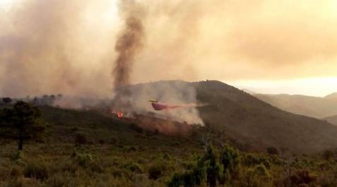 El incendio forestal de Castellón ya no tiene llama en todo su perímetro El incendio forestal de Castellón ya no tiene llama en todo su perímetro