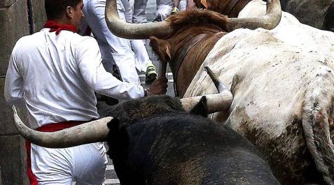 Octavo encierro de San Fermín Octavo encierro de San Fermín