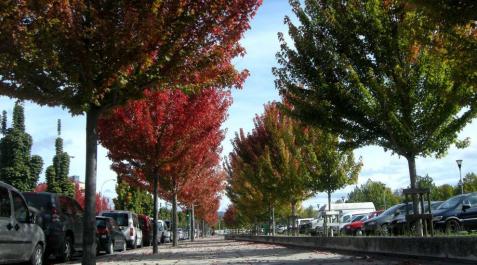 El fin de semana arranca con cielos despejados y temperaturas suaves El fin de semana arranca con cielos despejados y temperaturas suaves
