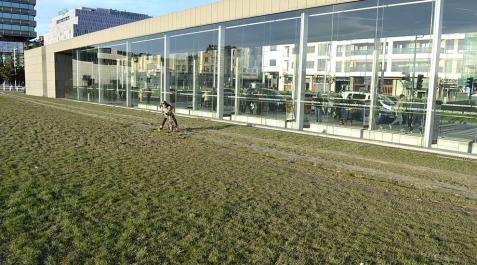 Domingo primaveral en Pamplona_4 La primavera se adelantó este domingo en Navarra, donde se llegaron a registrar temperaturas que superaron los 18 grados.